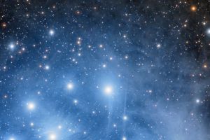 m45crop